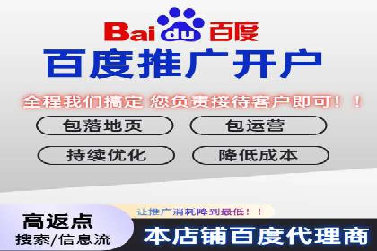 百度推广排名提升方案：某科技公司的成功经验